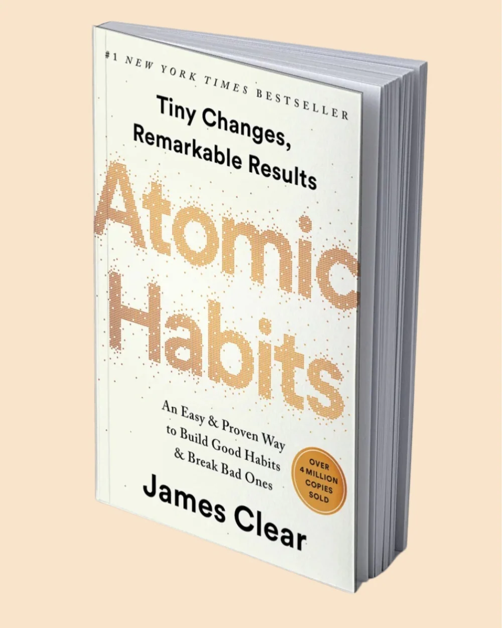 A Warm Welcome - Image 7