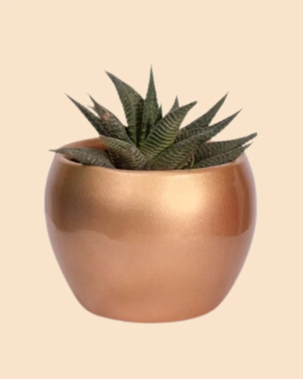 Welcome Aboard - Image 4