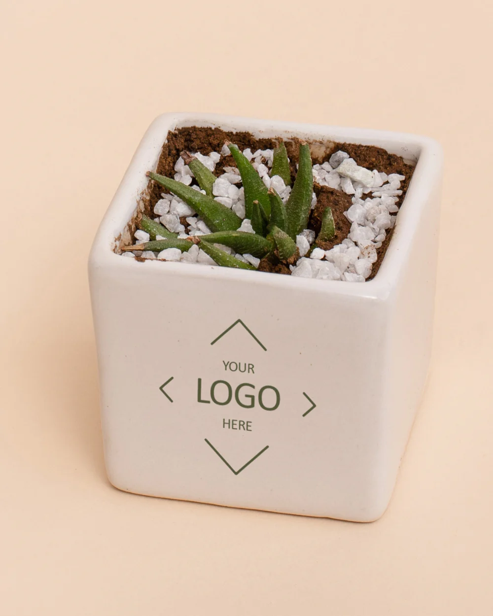 Desk Essentials Kit - Image 6